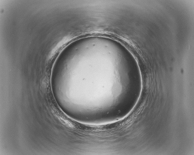 X0000060751359200511141148