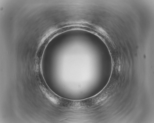 X0000060751360200511141148