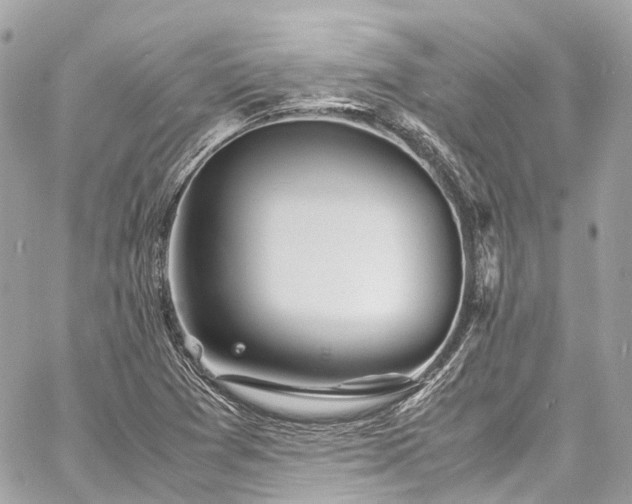 X0000060751361200511141148