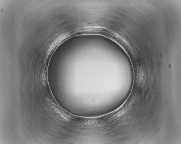 X0000060751362200511141148