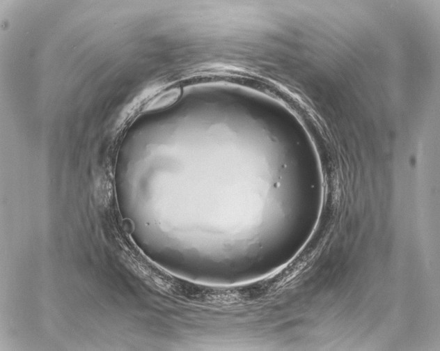 X0000060751363200511141148