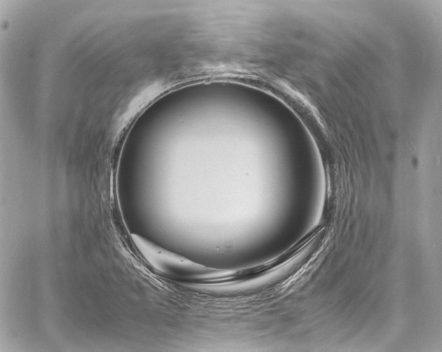 X0000060751365200511141148