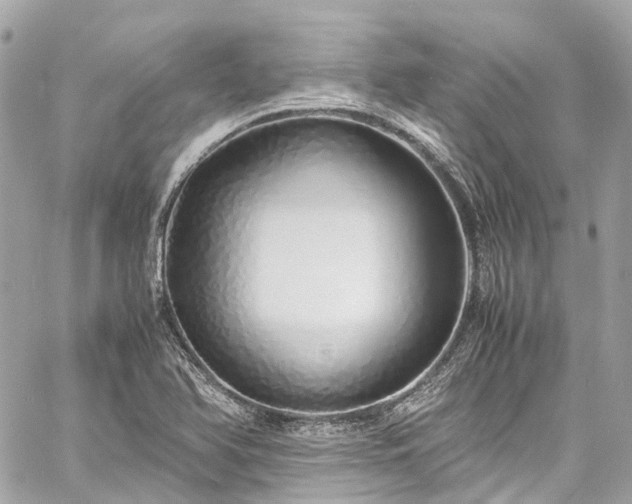 X0000060751366200511141148