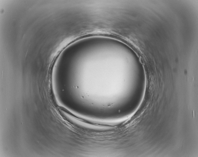 X0000060751367200511141148