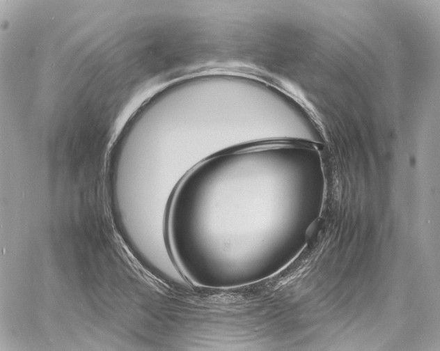 X0000060751368200511141148