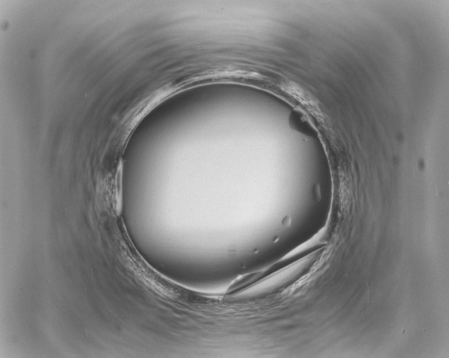 X0000060751369200511141148