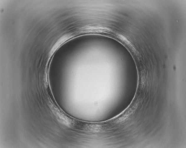 X0000060751370200511141148