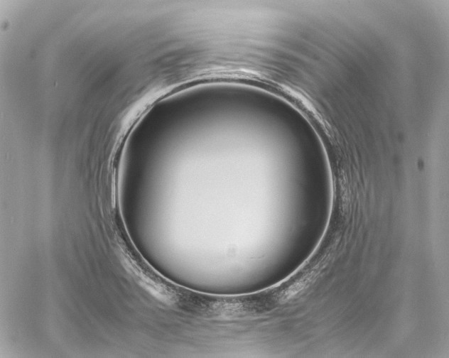 X0000060751371200511141148