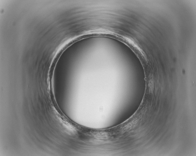 X0000060751372200511141148