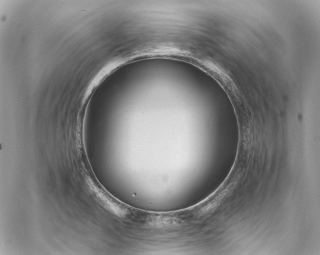 X0000060751374200511141148