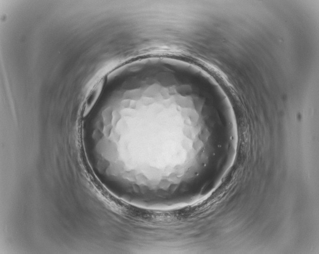 X0000060751375200511141148