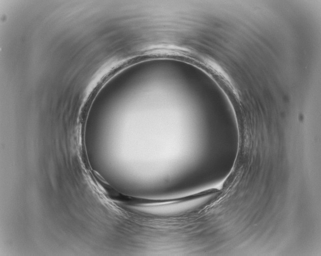 X0000060751376200511141148