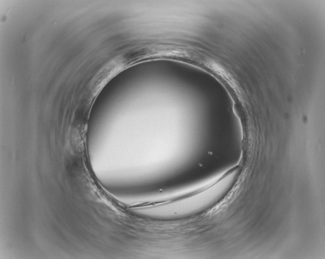 X0000060751377200511141148