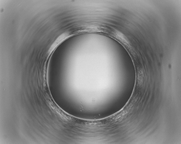 X0000060751378200511141148