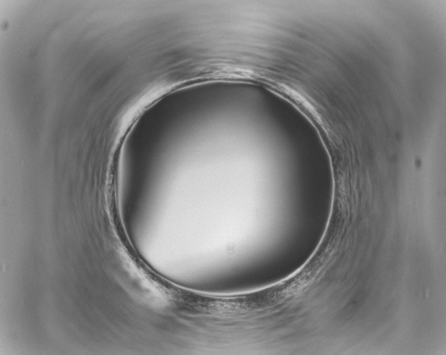 X0000060751379200511141148