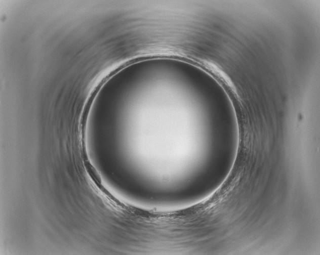 X0000060751380200511141148