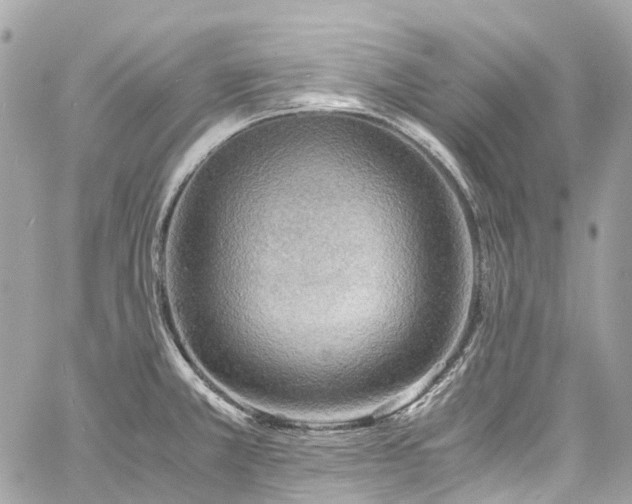 X0000060751381200511141148