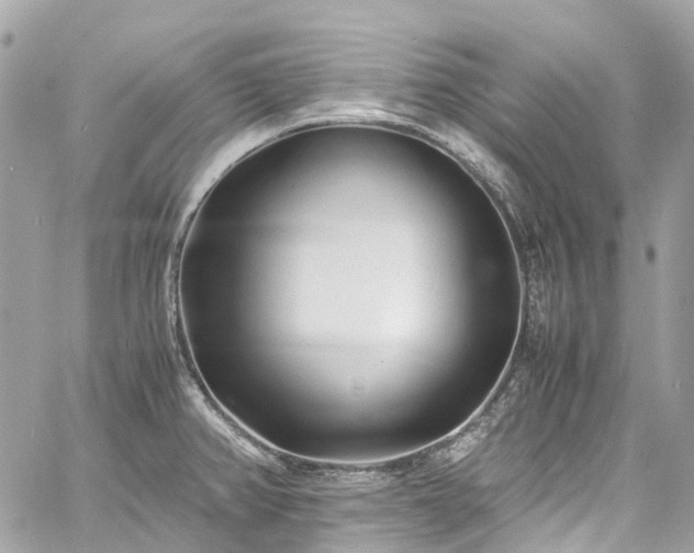 X0000060751382200511141147