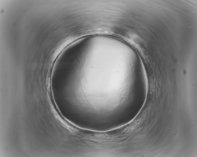 X0000060751383200511141147