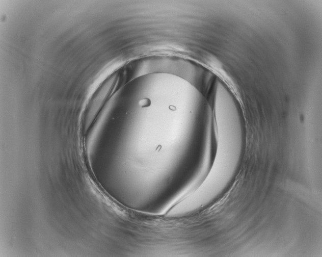 X0000060751384200511141147