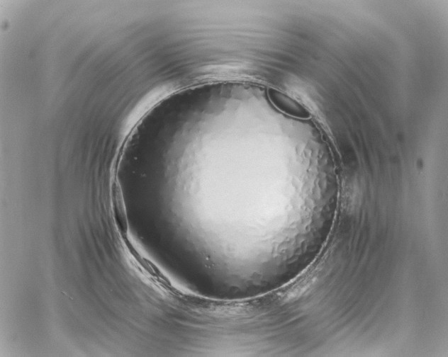 X0000060751386200511141147