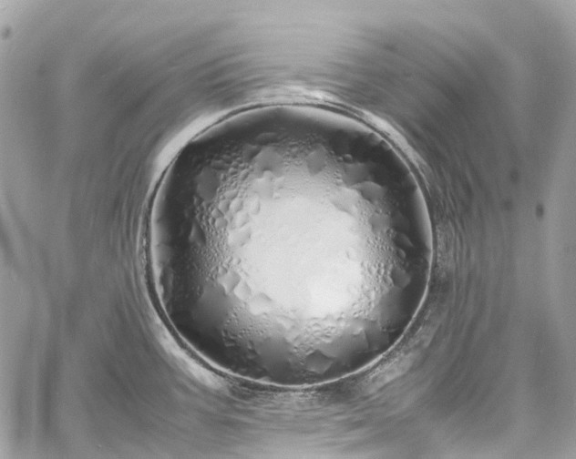 X0000060751387200511141147