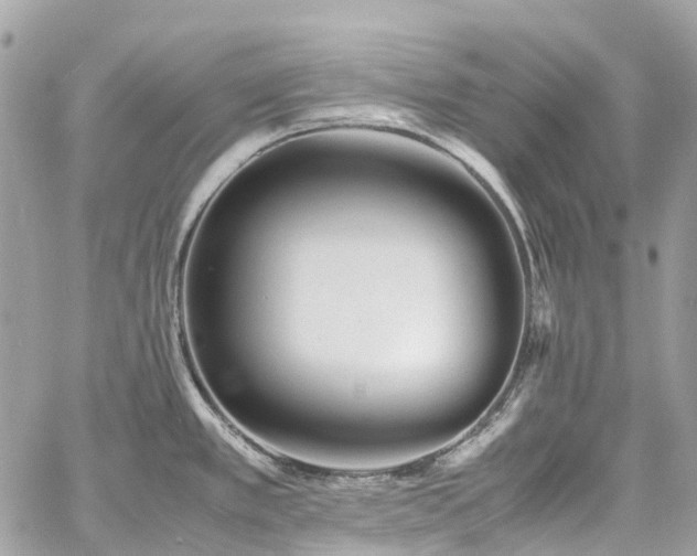 X0000060751389200511141147