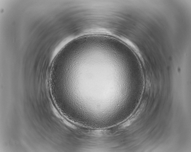 X0000060751390200511141147