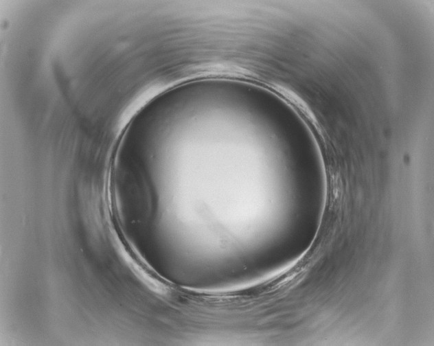 X0000060751391200511141147