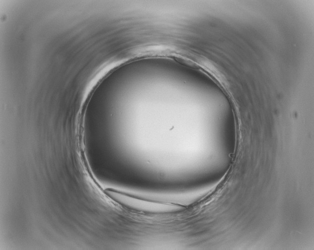 X0000060751392200511141147