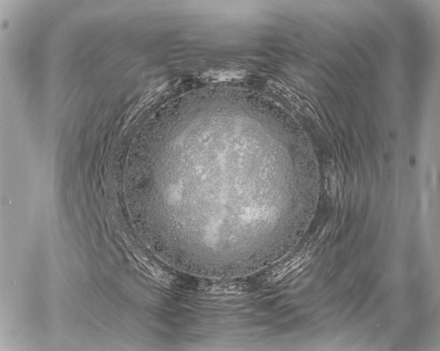 X0000060751393200511141147