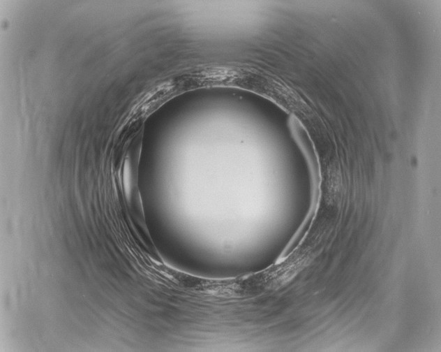 X0000060751394200511141147