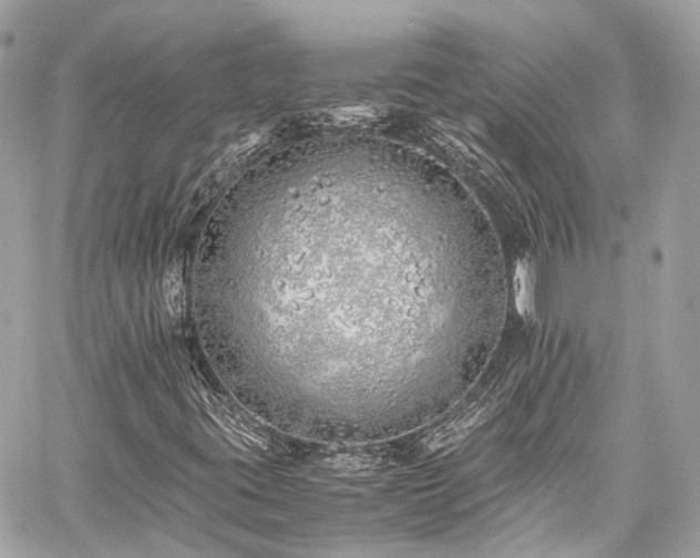 X0000060751395200511141147