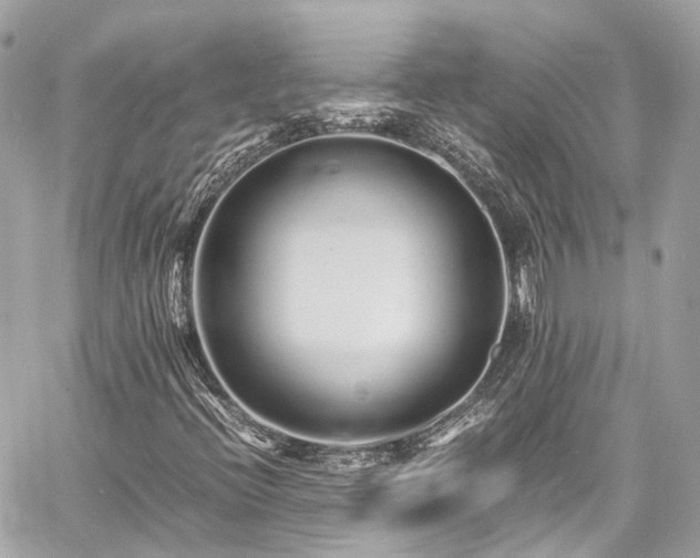 X0000060751396200511141147