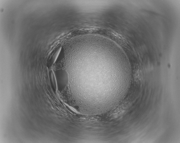 X0000060751397200511141147