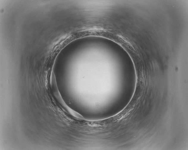 X0000060751398200511141147