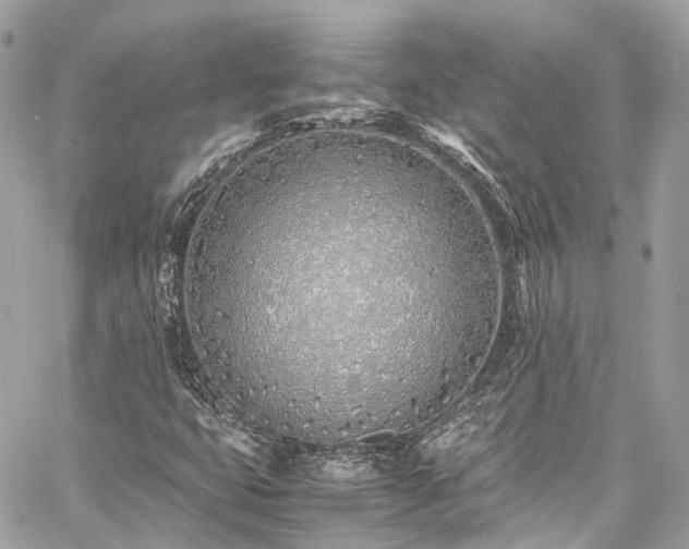 X0000060751399200511141147