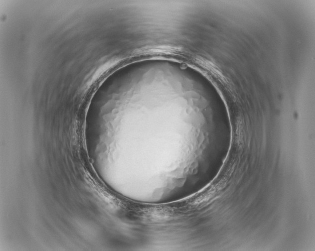 X0000060751404200511141147