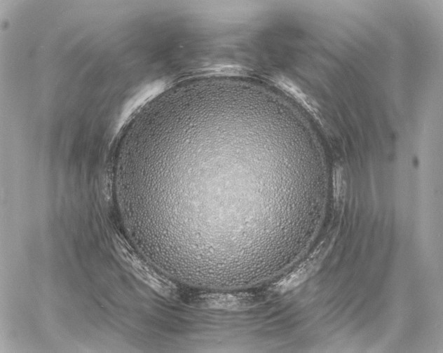 X0000060751405200511141147