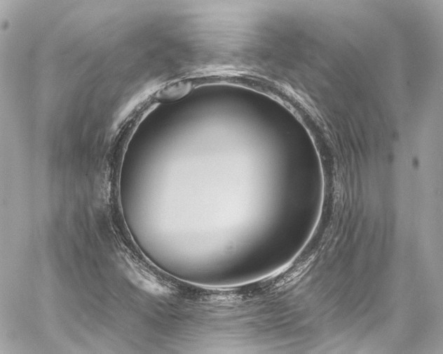 X0000060751406200511141147