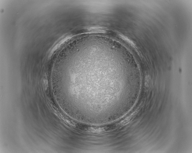 X0000060751407200511141147