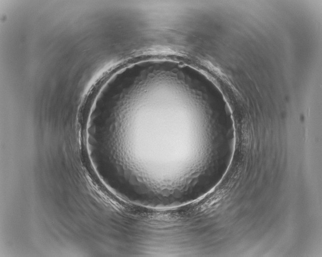 X0000060751408200511141147