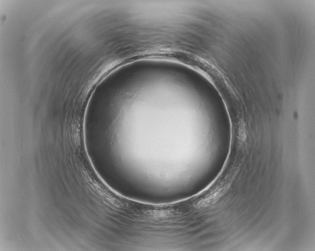 X0000060751409200511141147