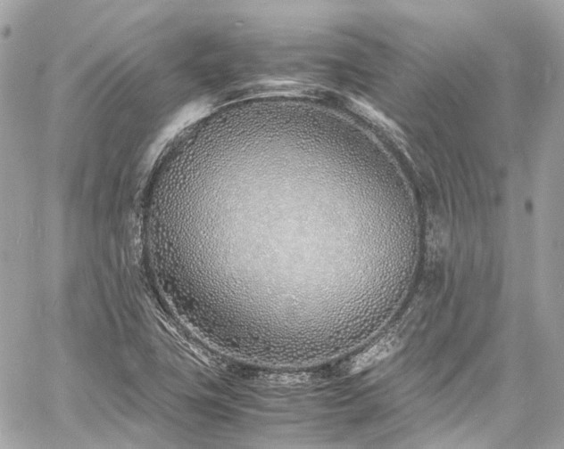 X0000060751411200511141147