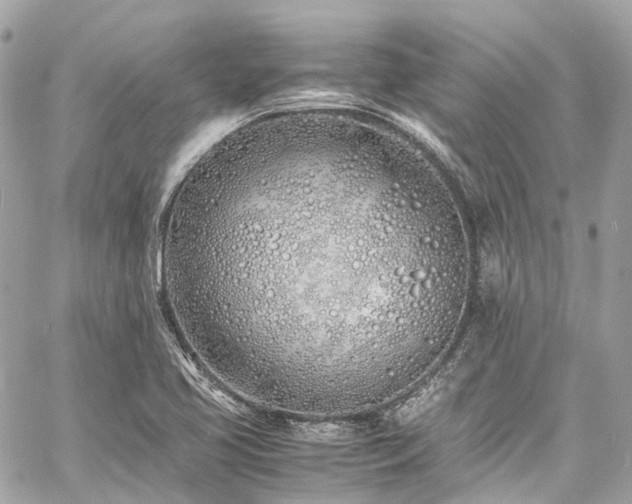 X0000060751413200511141147