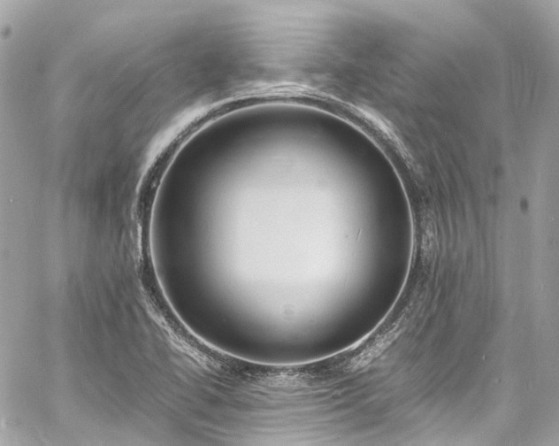 X0000060751414200511141147