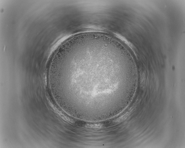 X0000060751415200511141147