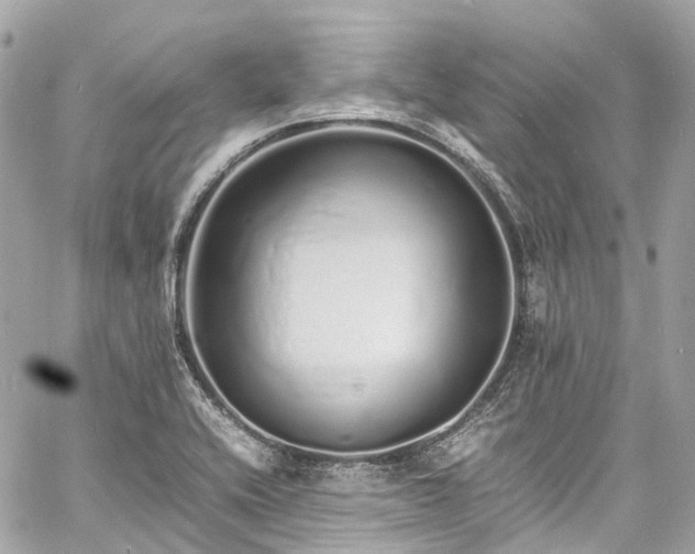 X0000060751416200511141147