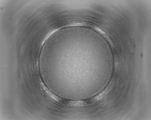 X0000060751417200511141147