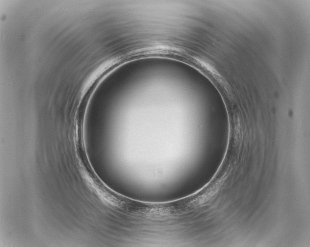 X0000060751418200511141147